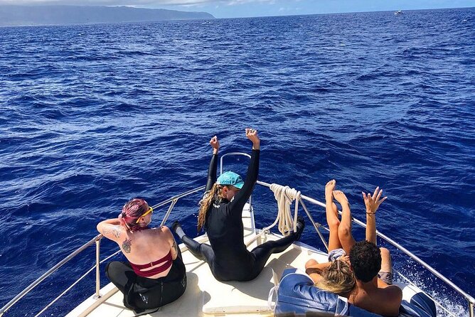 Oahu Shark Dive Educational Tour (No cage) - What the two-hour schedule means for your day