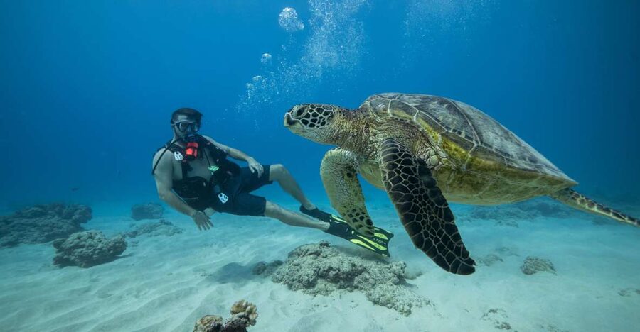 Oahu: Waikiki Discovery Scuba Diving for Beginners - Two reef sessions, not just a photo opportunity
