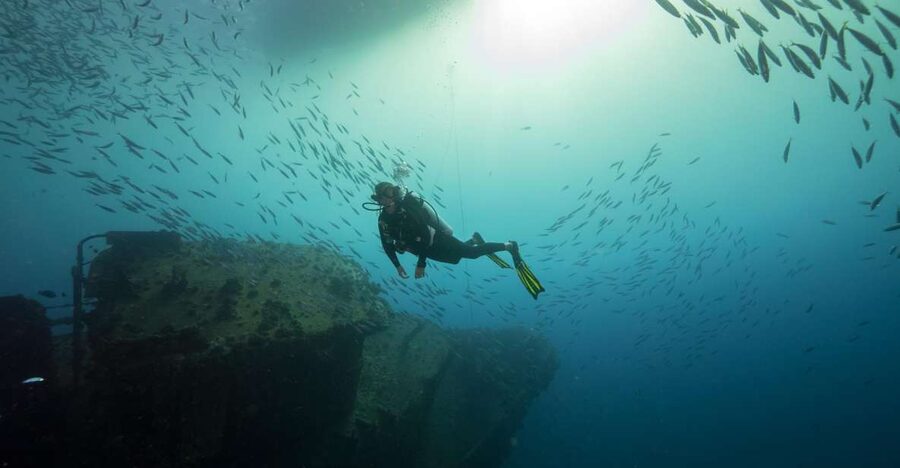 Oahu: Wreck & Reef Scuba Dive for Certified Divers - Key points at a glance