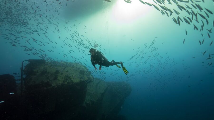 Oahu: Wreck & Reef Scuba Dive for Certified Divers - Should you book the Sea Tiger or YO-257 outing?