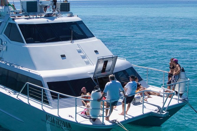 Ocean Freedom Great Barrier Reef Luxury Snorkel and Dive Cruise - Guided snorkeling and support in the water