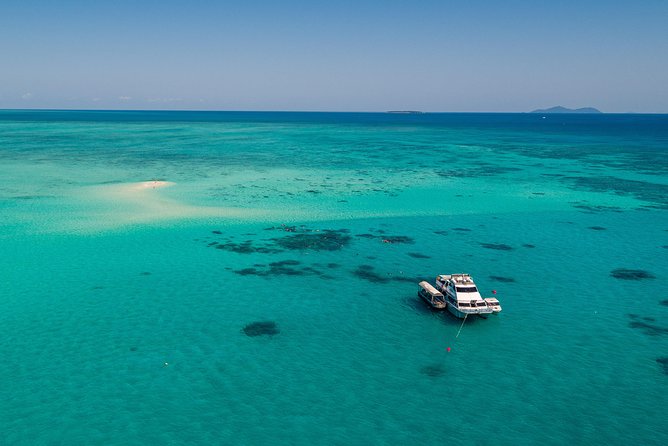 Ocean Freedom Great Barrier Reef Luxury Snorkel and Dive Cruise - Lunch, snacks, and the value of the $181.28 fare