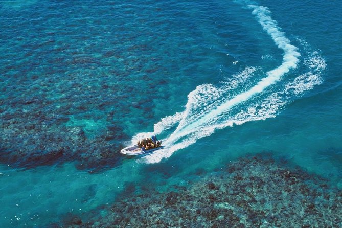 Ocean Freedom Great Barrier Reef Luxury Snorkel and Dive Cruise - Who will enjoy this reef trip most?