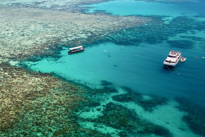 Ocean Freedom Great Barrier Reef Luxury Snorkel and Dive Cruise - Upolu Cay and its shallow coral garden