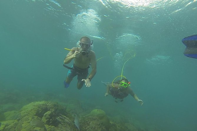 OCTOPUS DIVING (hookah diving) NO Experience Needed - How the hookah system works at Steps Beach
