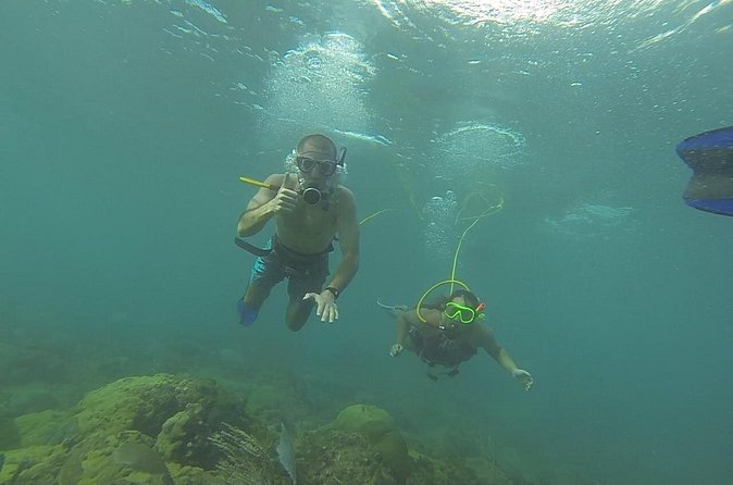 OCTOPUS DIVING (hookah diving) NO Experience Needed - About 45 minutes over Rincón’s reef