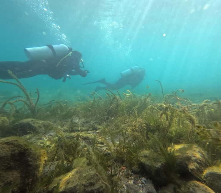 Ohrid: Scuba Diving Experience in Lake Ohrid - Key points to know before booking