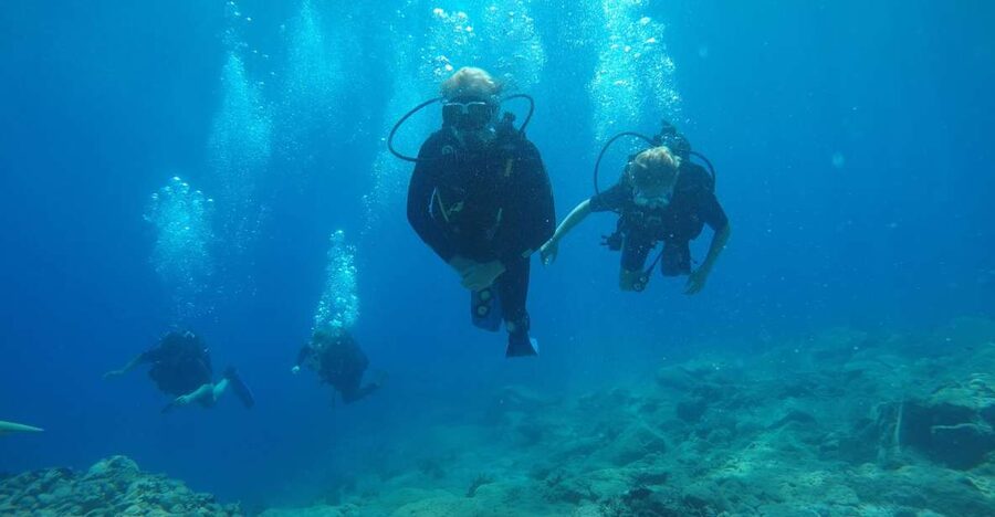 Oia: 2 Guided Scuba Dives off Santorini for Certified Divers - Clear water, modest marine variety