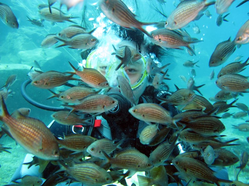 Oia: 2 Guided Scuba Dives off Santorini for Certified Divers - Two tank sessions in one morning