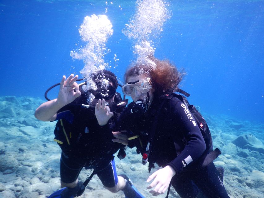 Oia: 2 Guided Scuba Dives off Santorini for Certified Divers - What you see below Santorini