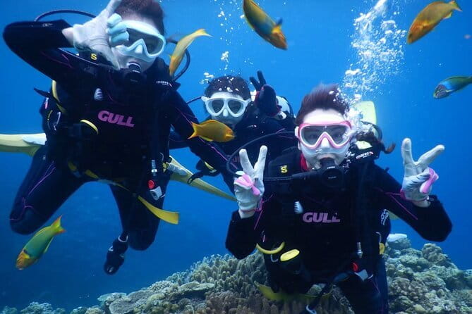 Okinawa: Discover SCUBA Diving 2 Dives at Minna, Sesoko or Motobu - Key points to know before you book