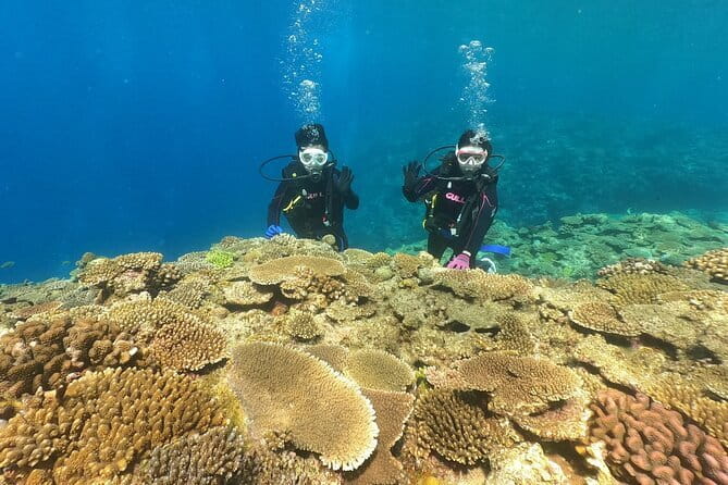 Okinawa: Discover SCUBA Diving 2 Dives at Minna, Sesoko or Motobu - Choosing among Minna, Sesoko, and Sakimotobu