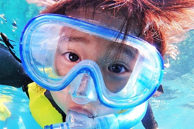 Okinawa: Discover SCUBA Diving 2 Dives at Minna, Sesoko or Motobu - Timing, transport, and cancellation details