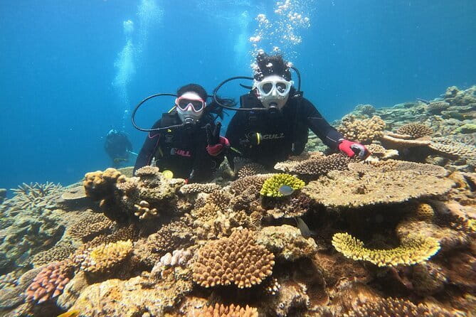 Okinawa: Discover SCUBA Diving 2 Dives at Minna, Sesoko or Motobu - The briefing makes this workable for beginners