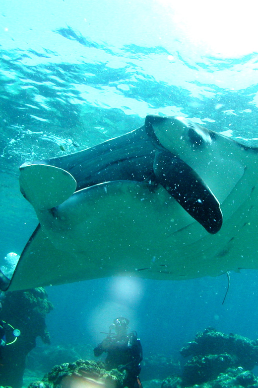 Okinawa: Naha: 1 day Kerama Islands diving‣ license required - Gear, briefings, and safety on the boat
