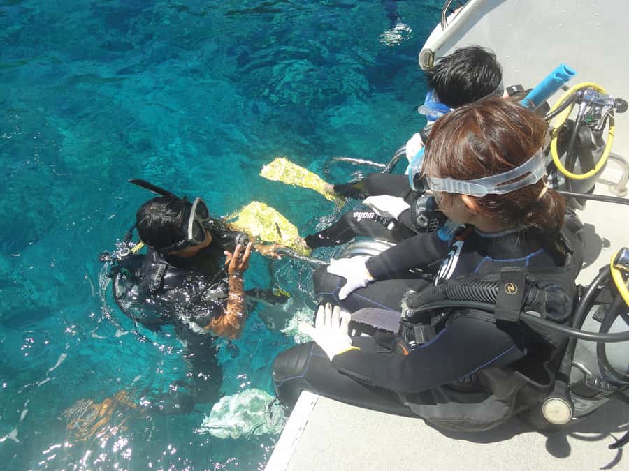 Okinawa:Naha:Kerama Island Experience １Dive and Snorkeling - What the $100 price really covers