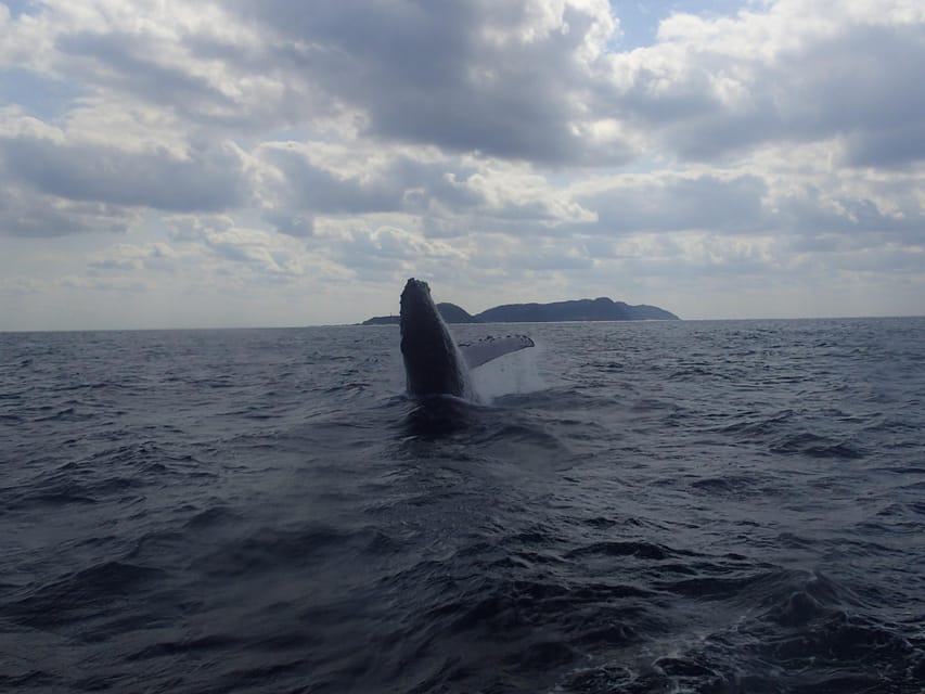 Okinawa:Naha:Kerama Island Experience １Dive and Snorkeling - Pickup, equipment, and what to pack