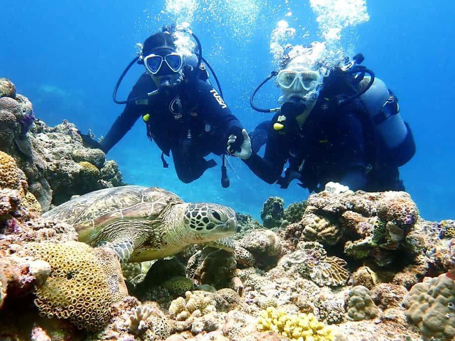 Okinawa:Naha:Kerama Island Experience 1Dive and Snorkeling - Three layers of instruction before you enter the water