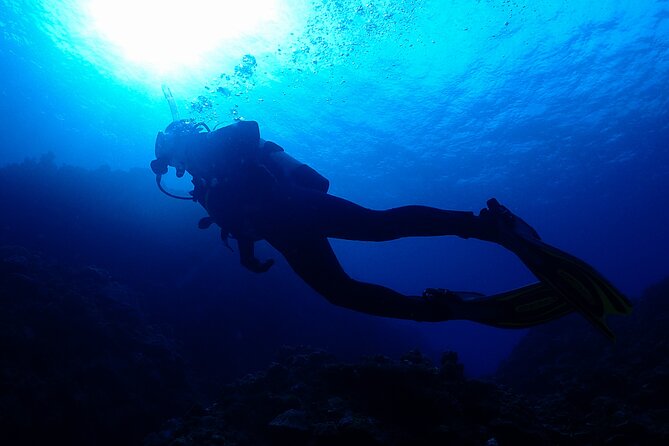 Okinawa Scuba Diving For Certified Divers (3 boat dives + Lunch) - Why Minna and Sesoko make a good pair