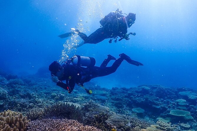 Okinawa Scuba Diving For Certified Divers (3 boat dives + Lunch) - The third session and the return to Motobu