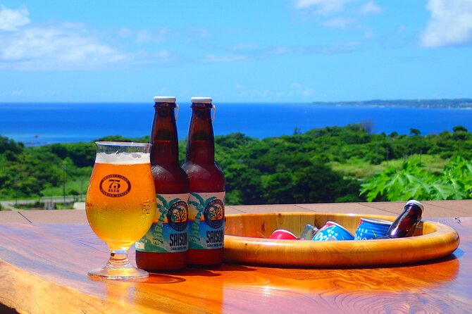 Okinawa Scuba Diving For Certified Divers (3 boat dives + Lunch) - What the $228.03 price really covers