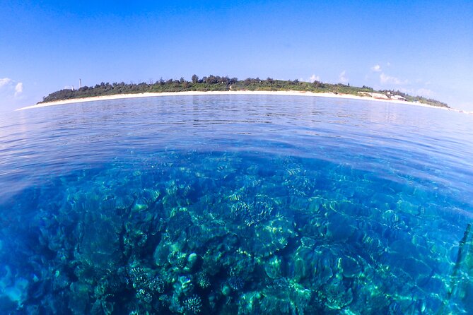 Okinawa Scuba Diving For Certified Divers (3 boat dives + Lunch) - Comfort touches that improve a demanding day