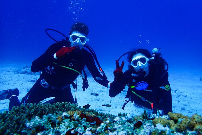 Okinawa: Scuba Diving Tour with Wagyu Lunch and English guide - Key points at a glance