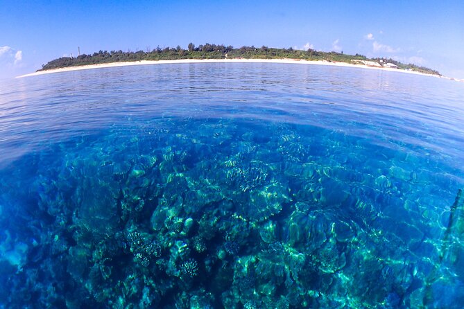 Okinawa: Scuba Diving Tour with Wagyu Lunch and English guide - The guide makes the biggest difference