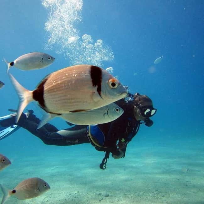 Oludeniz Half Day Scuba Diving Program - A short route into Ölüdeniz’s underwater world