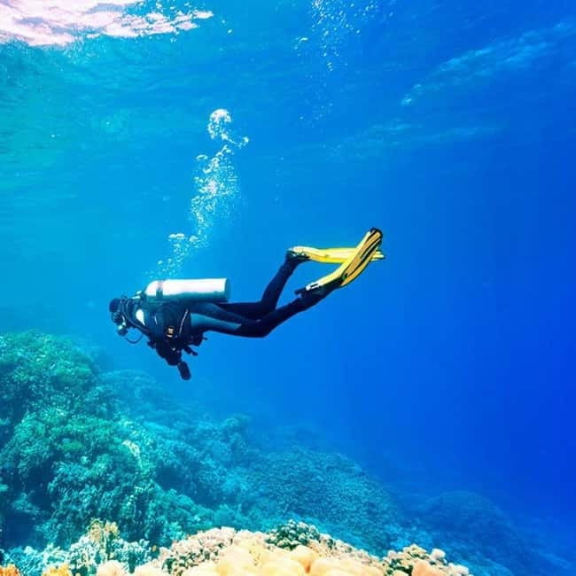 Oludeniz Half Day Scuba Diving Program - What happens before you enter the water