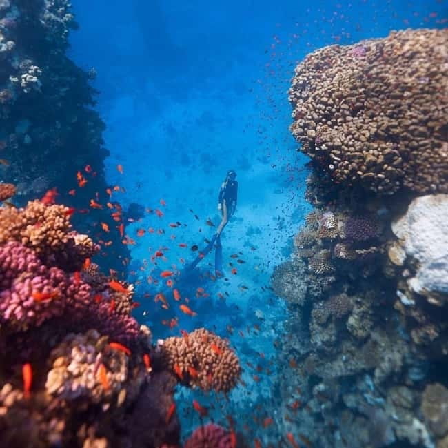 Oludeniz Half Day Scuba Diving Program - Who will enjoy this most