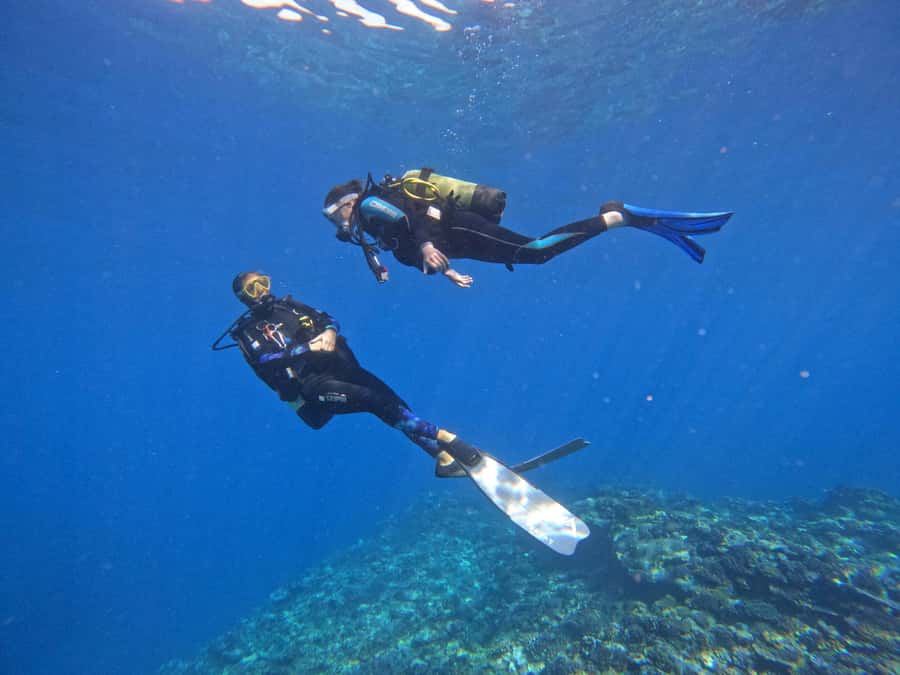 One-hour introduction to scuba diving! - A gentle entry to scuba in Réunion