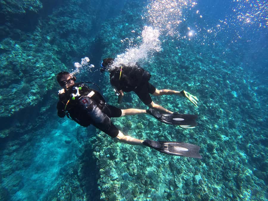 One-hour introduction to scuba diving! - The first lesson covers the skills you actually need