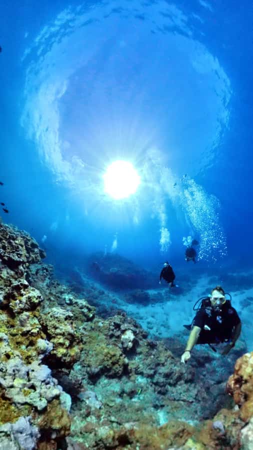 One-hour introduction to scuba diving! - The supervised session reaches 6 meters