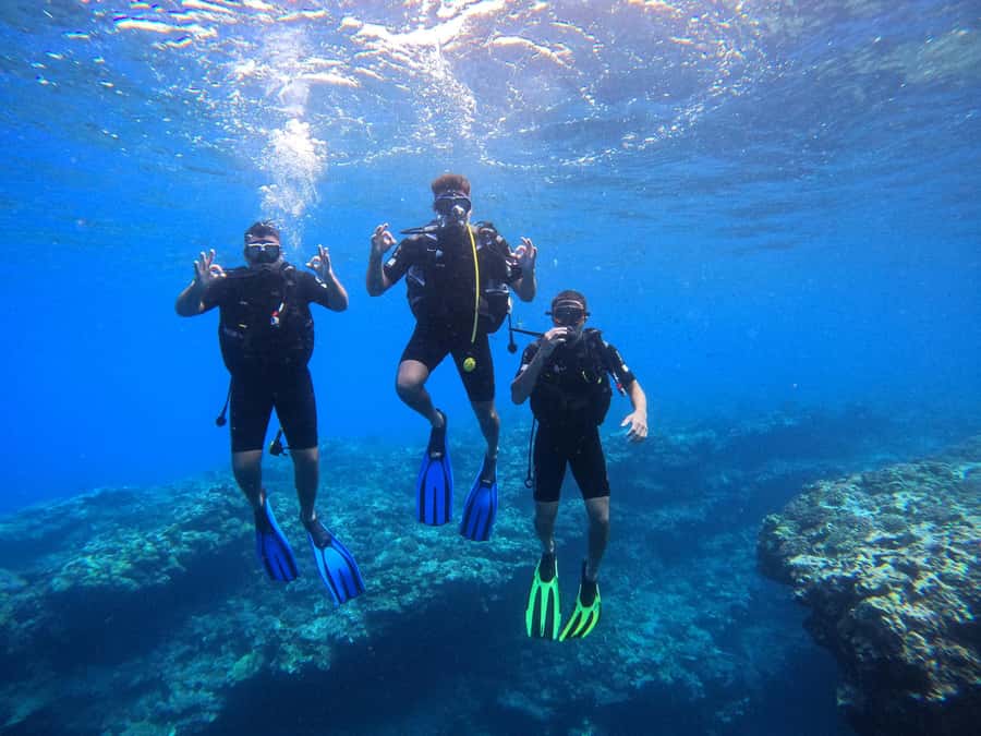 One-hour introduction to scuba diving! - What makes the Nature Reserve worthwhile