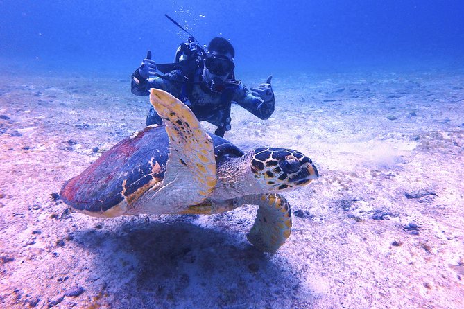 Open Water Certification Course-PADI - Day three: four sessions complete the certification