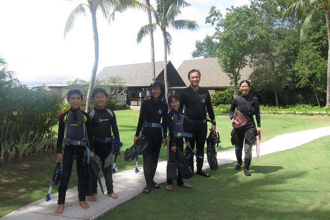 Open Water Course (PADI) - The underwater part: training before sightseeing