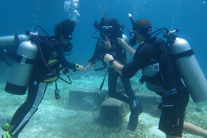 Open Water Course (PADI) - Michel and Freddie’s approach to beginner training