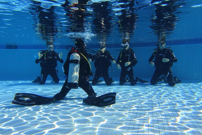 Open Water Diver 2-Day PADI Course in Playa del Carmen - What the $299 price really covers