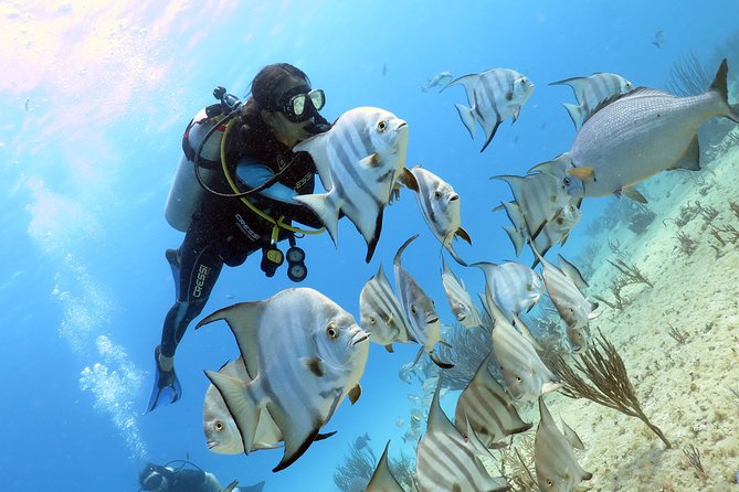 Open Water Diver 2-Day PADI Course in Playa del Carmen - Small details that can make the two days easier