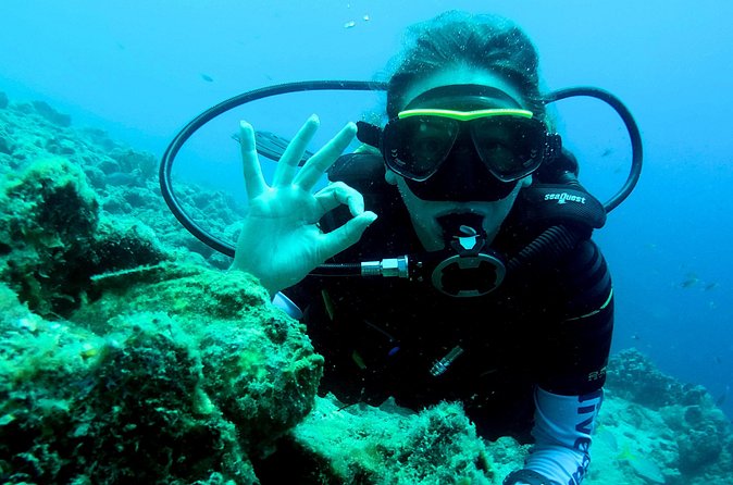Open Water Diver Course at Blue Bay Dive in Curacao - Practical planning for your Blue Bay mornings