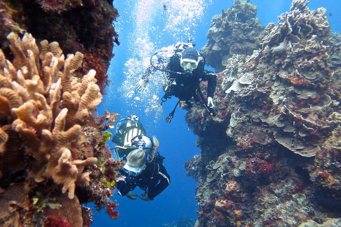 Open Water Diver course PADI in Cancun - Safety, fitness, and the timing of your flight