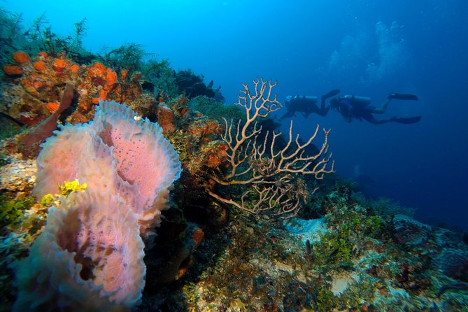 Open Water Diver course PADI including underwater video - The instructors make the biggest difference
