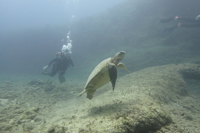 Open Water Scuba Certification - The first ocean sessions build confidence