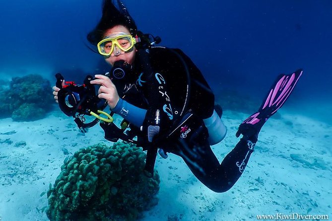 Open water scuba certifiication course with beach dives - What the $503 course is really buying you