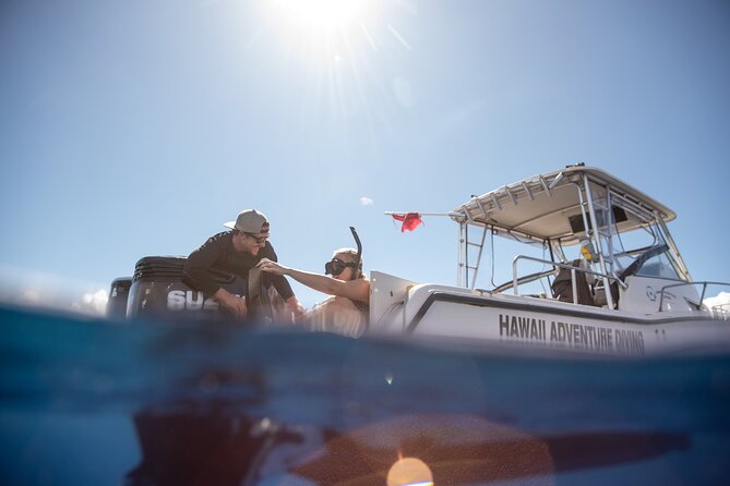 Open Water Shark Dive - Calm behavior makes the encounter better