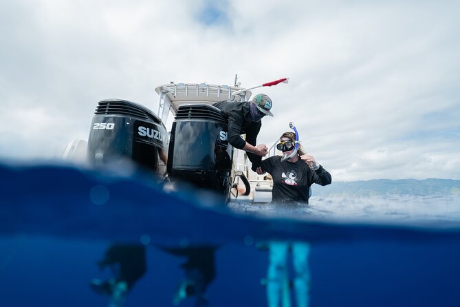 Open Water Shark Dive - The boat ride back adds useful context
