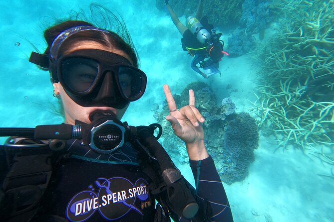 Outer Reef Scuba Diving Day Tour from Agnes Water 1770 - Key points at a glance