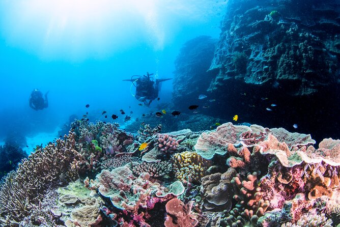 Outer Reef Scuba Diving Day Tour from Agnes Water 1770 - A 7:00 a.m. start from Seventeen Seventy