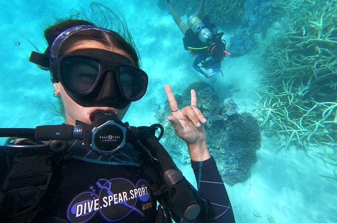 Outer Reef Scuba Diving Day Tour from Agnes Water 1770 - Personal attention from a small professional crew